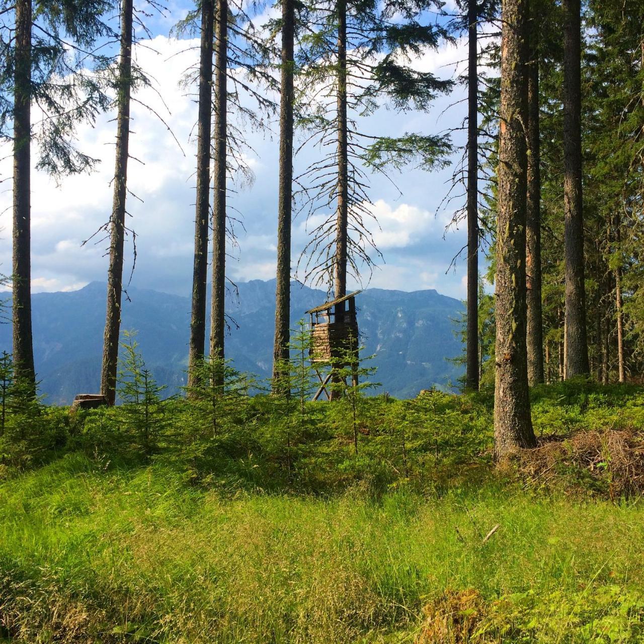 Berggasthof Scharfetter Hotell Haus im Ennstal Eksteriør bilde